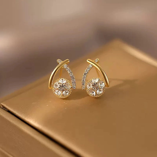 Timeless Elegant Earrings